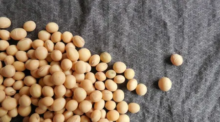 O alimento considerado saudável que pode afetar a saúde da tiroide