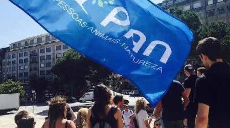 PAN quer alargar proteção de denunciantes a violações das normas nacionais