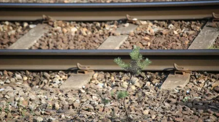 Reaberta Linha do Alentejo após interrupção por atropelamento no Barreiro