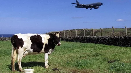 Sindicato: Há trabalhadores a receber abaixo do salário mínimo nas Lajes