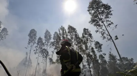 Mais de 30 concelhos de cinco distritos em perigo máximo de incêndio