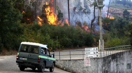 Idosa detida após originar incêndio florestal em Vila das Aves com queima