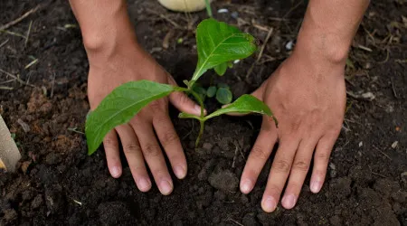 Zero defende avaliação do Programa de Ação de Combate à Desertificação