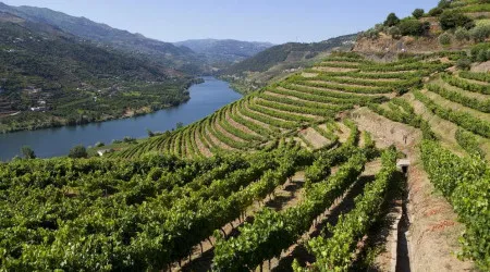 Concluída rota pedestre que liga Douro Internacional ao Douro Vinhateiro