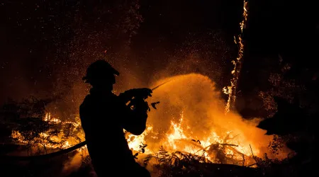 Montemor-o-Novo. Fogo agrícola mobiliza um meio aéreo e 50 bombeiros