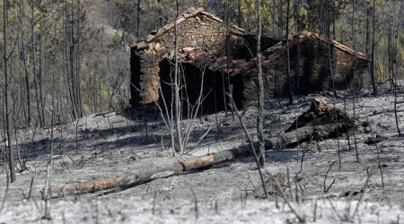Fogos: Região Centro tem 470 casas concluídas e foram pagos 31,2 milhões