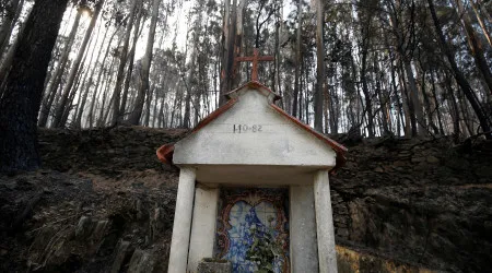 Pedrógão Grande: Quatro anos depois, a paisagem está em "colapso"