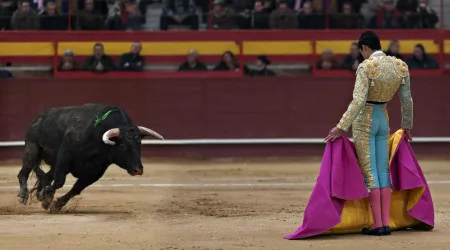 PAN defende extinção de tauromaquia do Conselho Nacional de Cultura