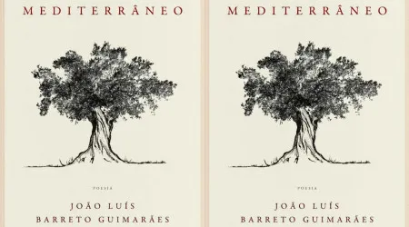 'Mediterrâneo', de João Luís Barreto Guimarães, premiada na Finlândia