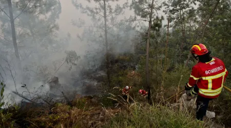 Mais de 250 operacionais e 10 meios aéreos combatem fogo em Pombal