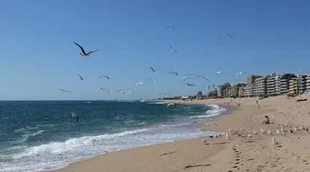 Câmara da Póvoa de Varzim suspende apoio a clube que pediu indemnização