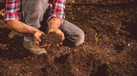 Bruxelas quer contratos escritos com agricultores na cadeia alimentar