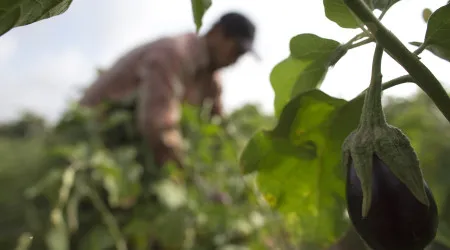 CNA diz que reprogramação do plano da PAC ataca agricultura familiar