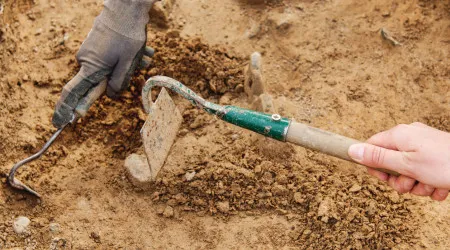 Expedição retira vários ossos humanos e animais de gruta de Ourém
