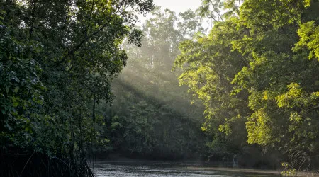 Cientistas propõem preservar 1,2% da superfície da Terra. Eis porquê