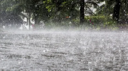 Mau tempo. Seis pessoas desalojadas no Alentejo por inundações