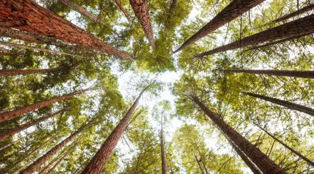 Parque de Montesinho faz 40 anos com críticas ao "garrote" da gestão