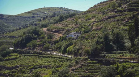 Emigrantes de Boticas temem cortar laços com a terra caso Mina avance