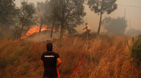 Governo prorroga até final do ano planos municipais de defesa da floresta