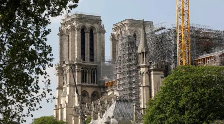 Notre-Dame: França vai reconstruir pináculo com carvalhos que têm séculos