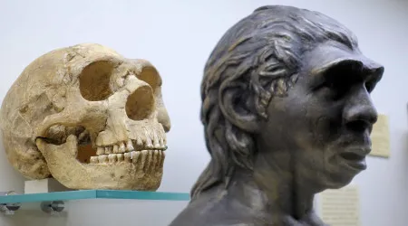 Neandertais foram primeiras vítimas humanas de percevejos há 60 mil anos