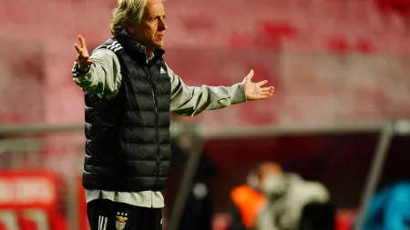 imagem do artigo