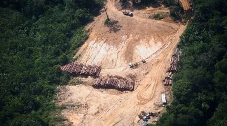 Alertas de desflorestação na Amazónia diminuem novamente