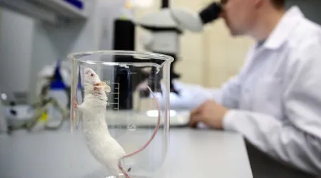 Experimentação animal por cá: Em que pé estamos e o que falta trilhar?