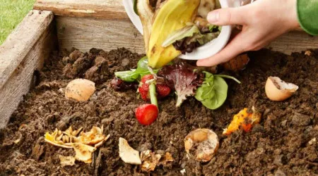 Marinha Grande. Valoris vai oferecer compostores domésticos aos munícipes