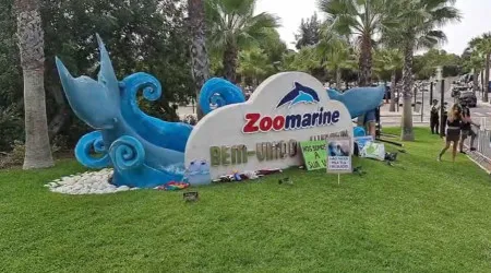 Dezenas protestam contra espetáculos com animais junto ao Zoomarine