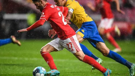 imagem do artigo