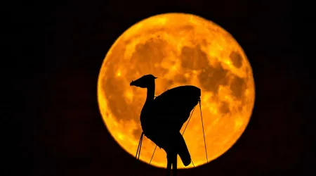 As imagens da primeira Super Lua do ano