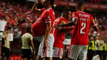 imagem do artigo