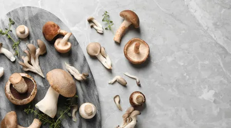 Universidade de Aveiro cria suplemento alimentar para reduzir o colestrol