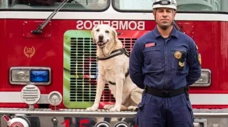 "Imperador". Cão-bombeiro de Cacilhas morreu vítima de doença prolongada