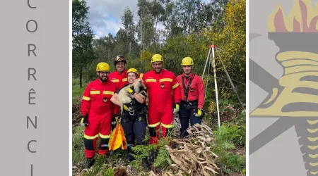"No dia da liberdade". Bombeiros resgatam cadela que caiu num poço