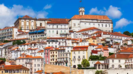 Coimbra dá as boas-vindas ao outono no sábado com atividades ao ar livre