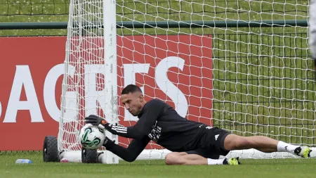 imagem do artigo