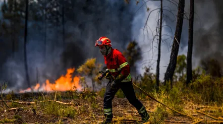 Afetado pelos fogos de setembro? Resta-lhe pouco tempo para pedir apoios