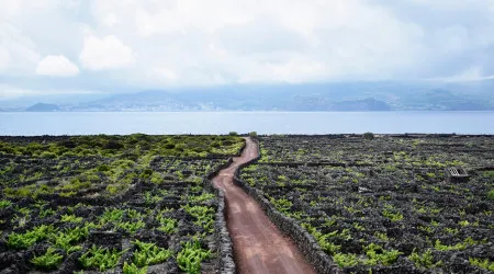 Sismo de magnitude 3,2 sentido nas ilhas do Pico e Faial