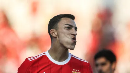 imagem do artigo