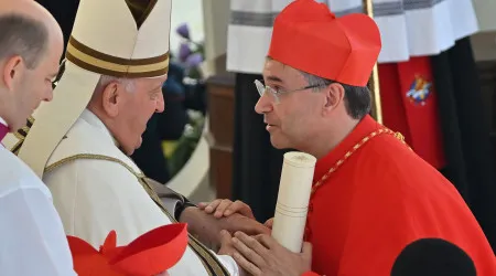 "Nenhum de nós está preparado". Américo Aguiar é cardeal há um ano