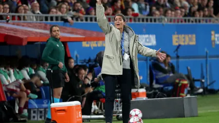 imagem do artigo