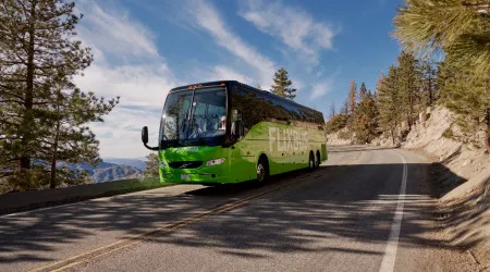 FlixBus reforça oferta (até 70%) para responder à procura na Páscoa