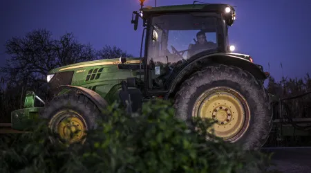 Agricultores de Sever do Vouga pedem mais apoios devido aos fogos