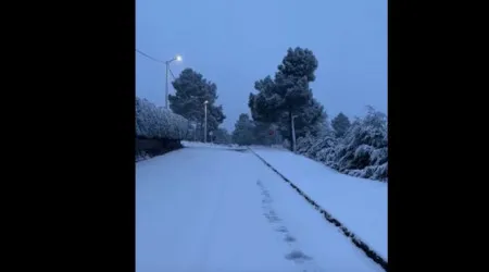 Distrito de Vila Real acordou com um 'manto branco' este sábado. Ora veja