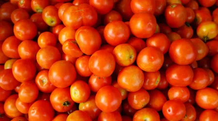 Não há tomates como os nossos! Produto português em destaque lá fora