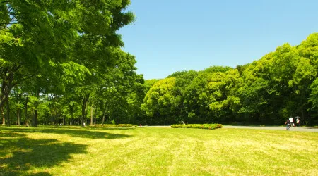 Construção de parque verde de Pombal começa no primeiro semestre de 2025