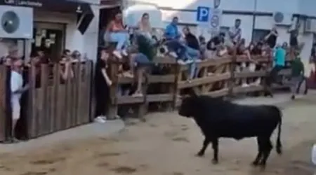 Largadas de touros em Alcochete fazem 28 feridos (3 dos quais graves)