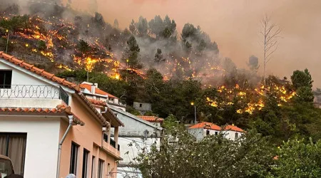 Madeira. Sindicato cria equipa multidisciplinar para apoiar recuperação